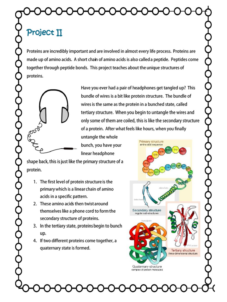 08 Organic+Chem+project+1 | PDF