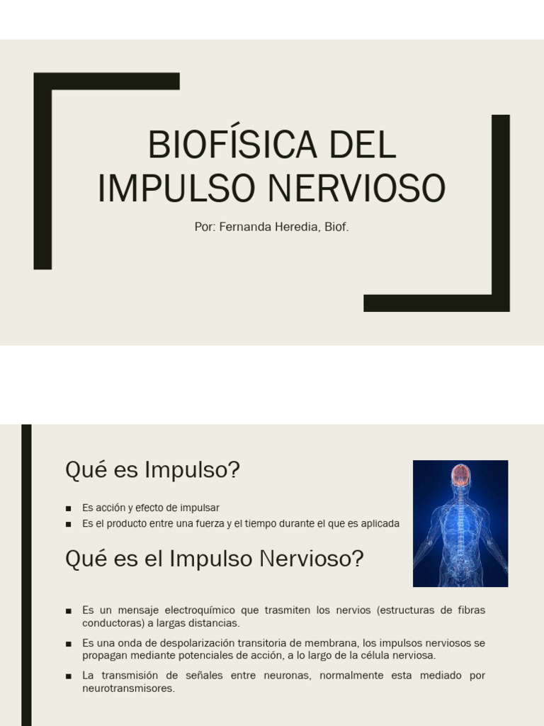 Biofísica Del Impulso Nervioso | PDF | Sinapsis | Potencial de acción