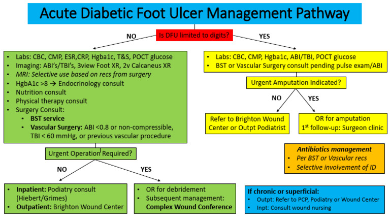 Diabetic Foot Ulcer | PDF
