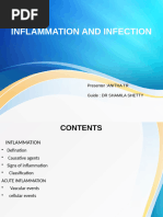 Acute Inflammation | PDF | Inflammation | Vasodilation