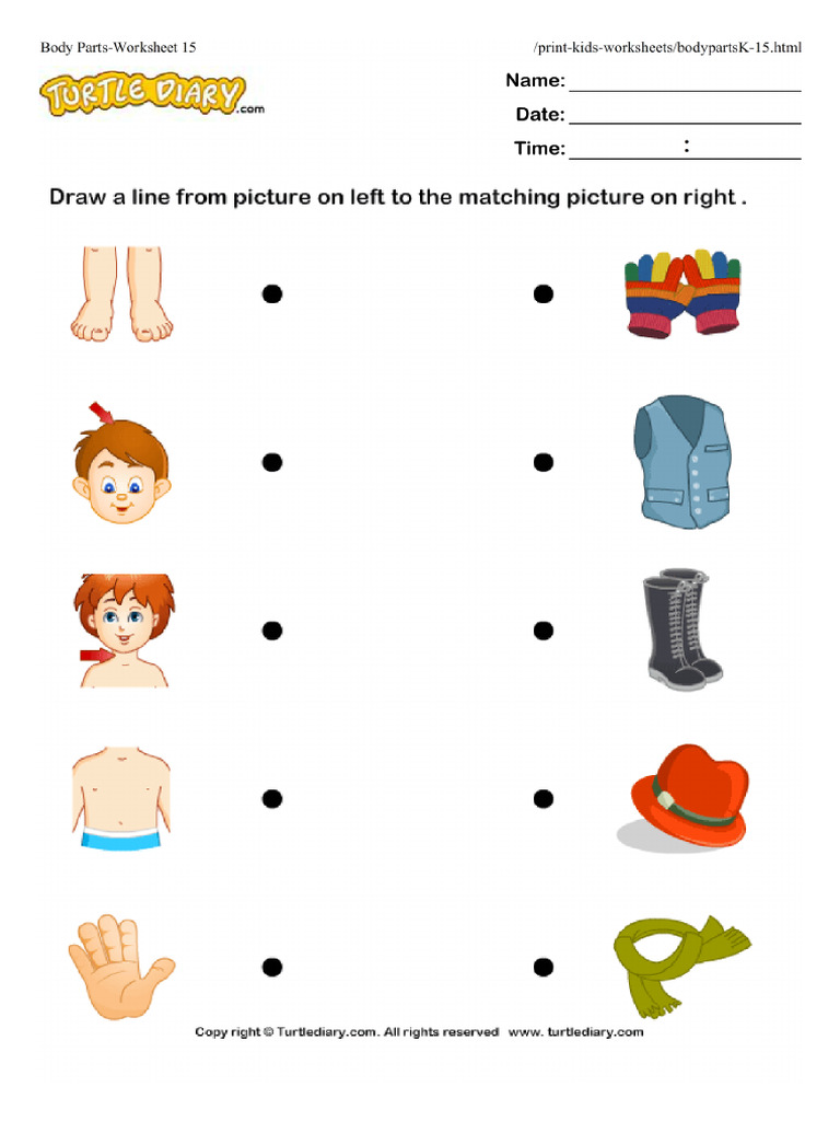 Body Parts-Worksheet 15-TurtleDiary | PDF