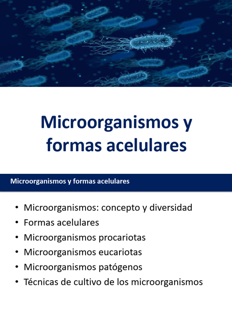 Microorganismos y Formas Acelulares | PDF | Las bacterias | Virus