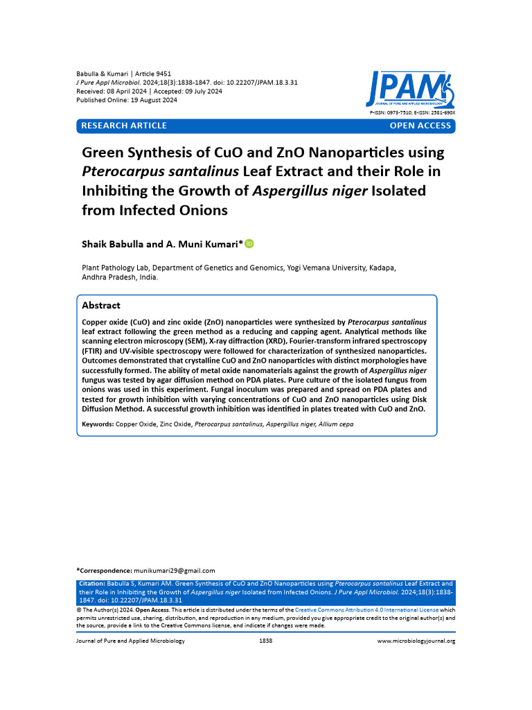 Green Synthesis of CuO & ZnO Nanoparticles | PDF | Zinc Oxide ...