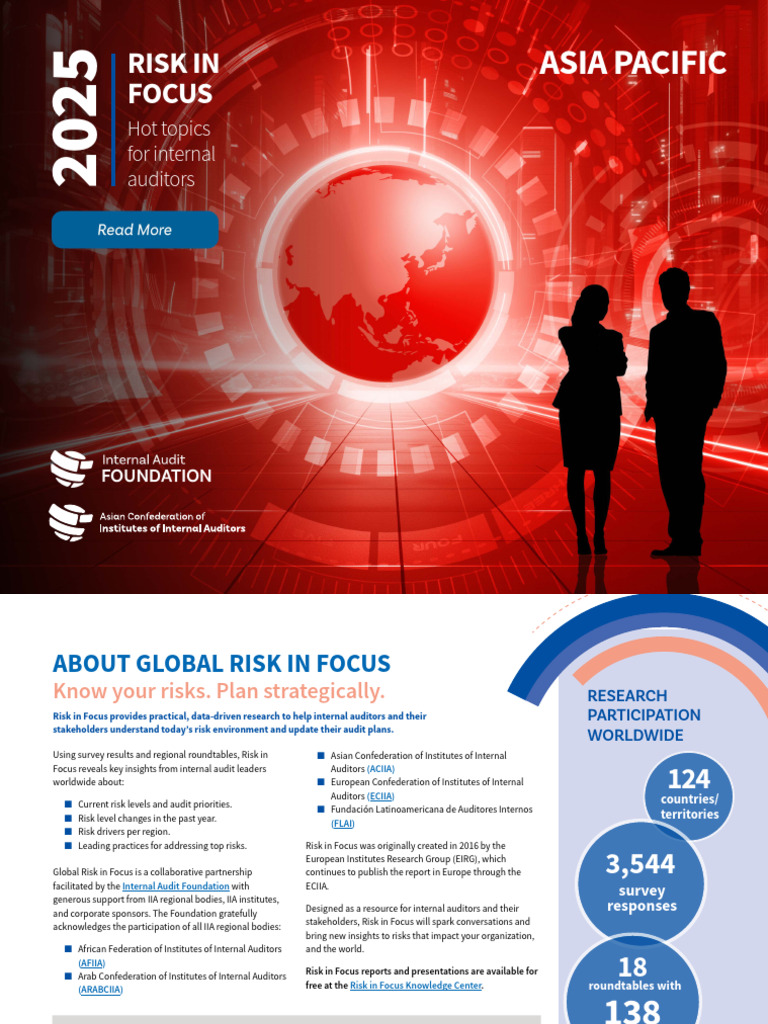 Asia Pacific 2025 Audit Risk Insights | PDF | Internal Audit | Business