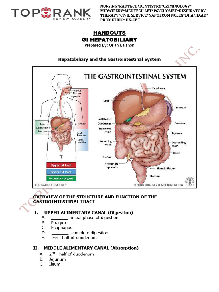 Gi Hepatobiliary Handouts | PDF | Pancreas | Stomach
