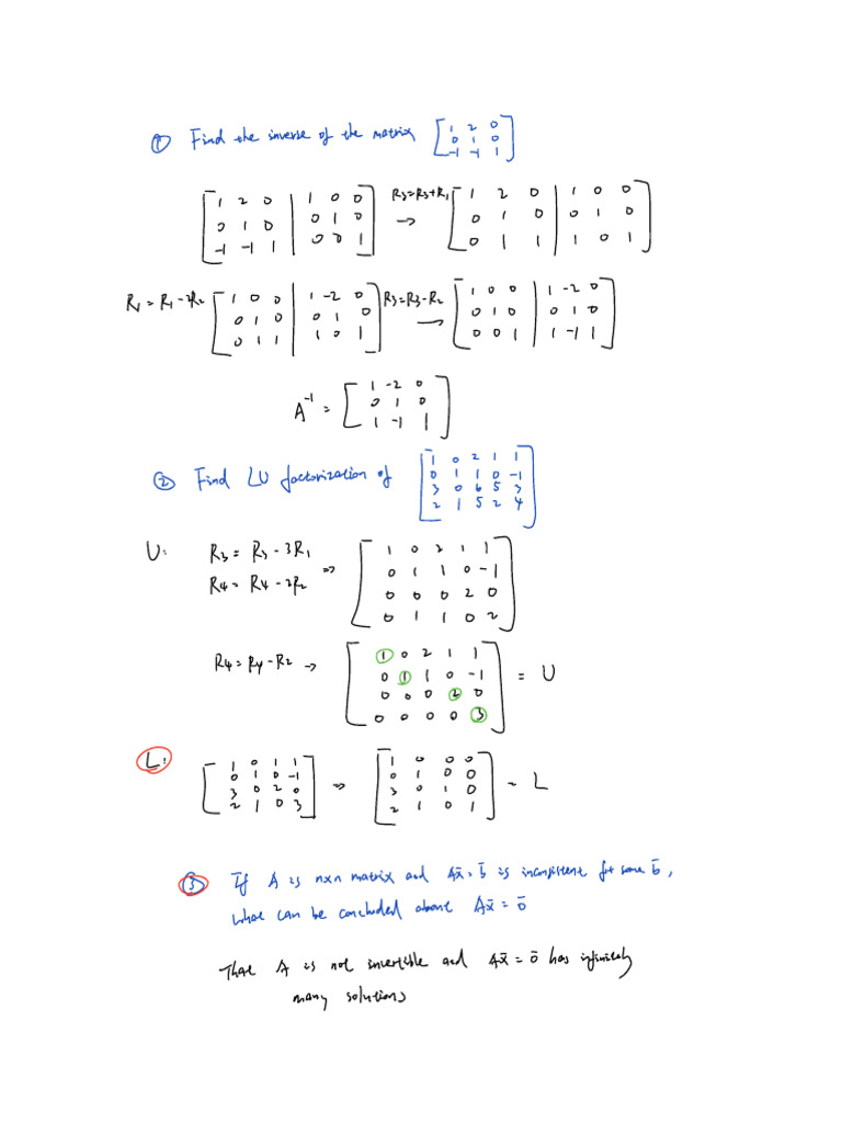 Exam 2 Review Questions | PDF