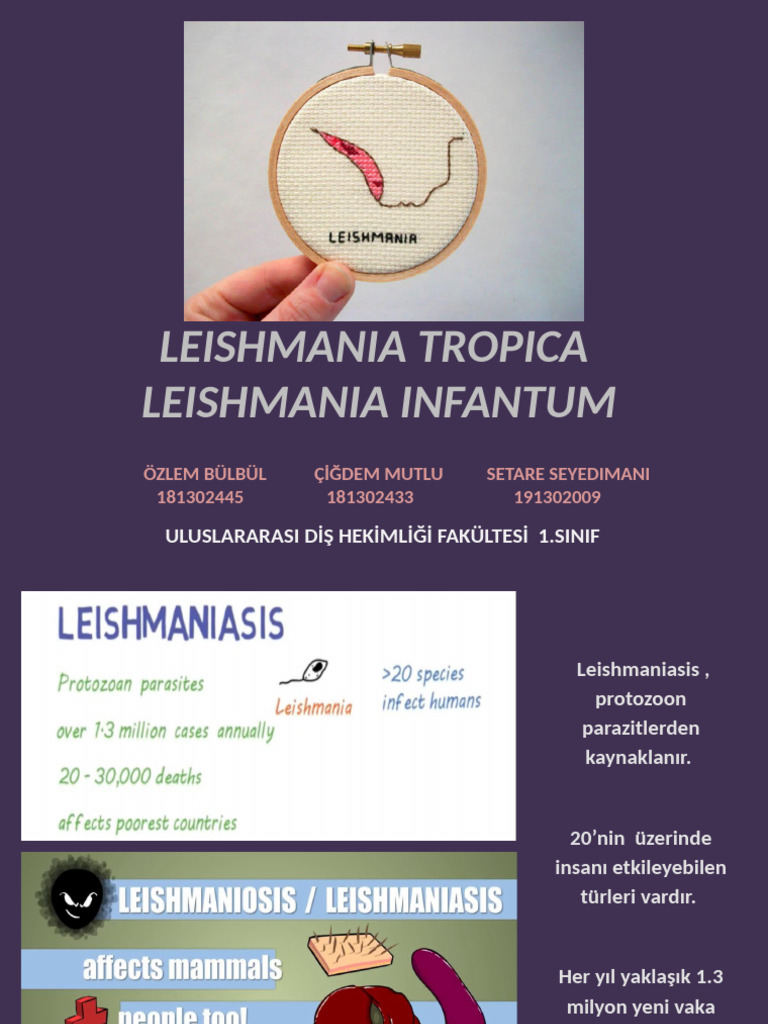 Leishmania Slayt Sunum Pdf