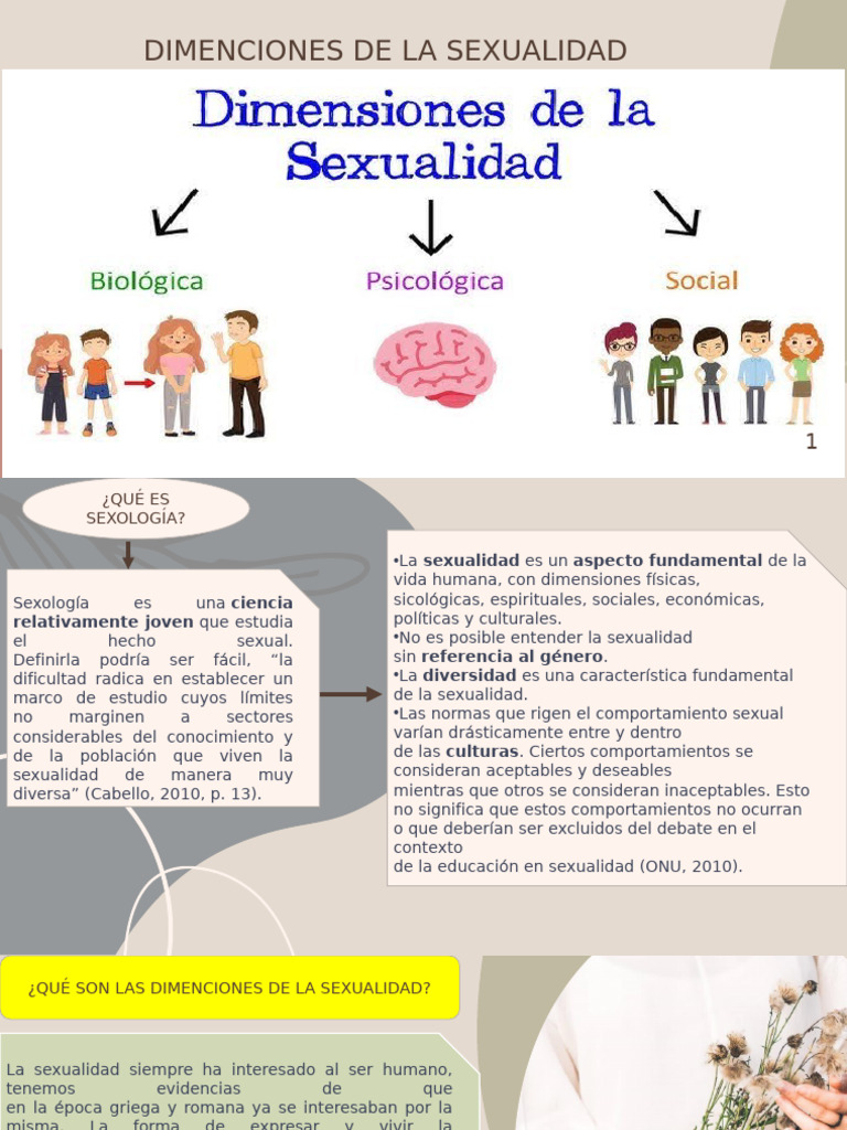 Dimensiones de la Sexualidad Humana | PDF | La sexualidad humana ...