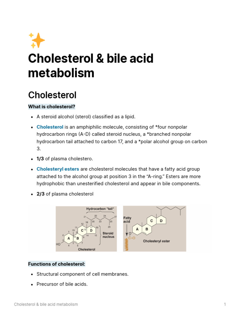 Cholesterol Bile Acid Metabolism | PDF | Cholesterol | Metabolism