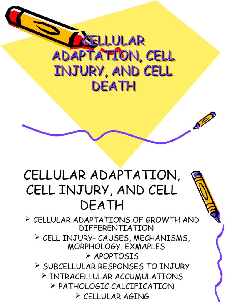 Cellular Adaptation, Cell Injury, and Cellkredki - Tagged | PDF ...