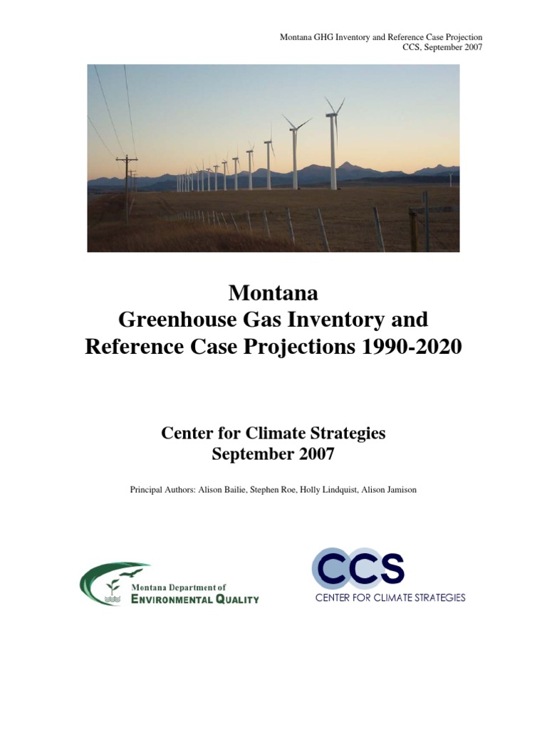 Greenhouse Gas Inventory | PDF | Greenhouse Gas | Carbon Capture And ...