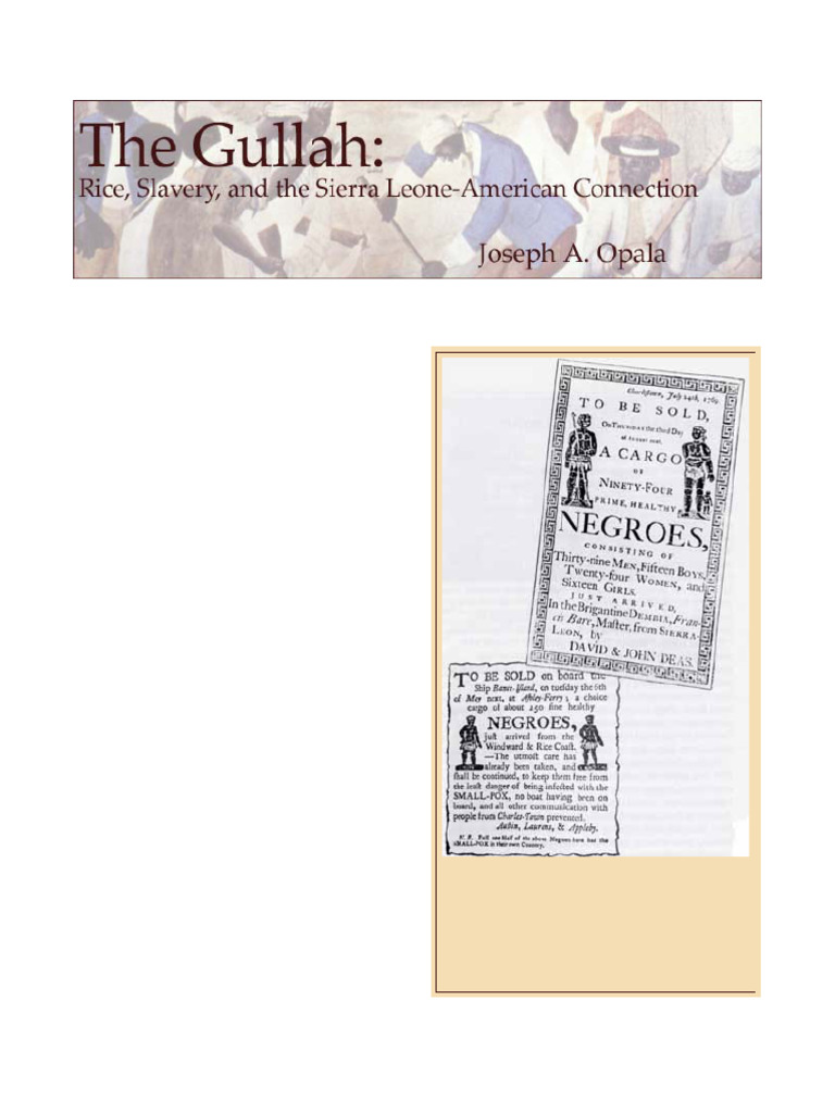 South Carolina's Rice Plantation History | PDF | South Carolina | Slavery