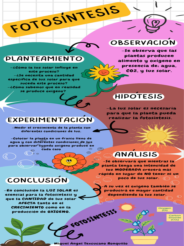 The Ballet of Maturity and Reproduction Infographic in Colorful ...