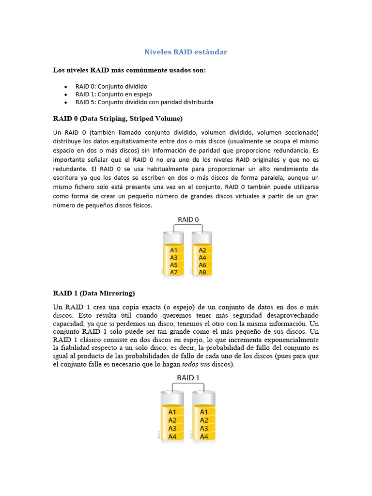 Niveles RAID: Descripción y Funciones | PDF | Tolerancia a fallos ...
