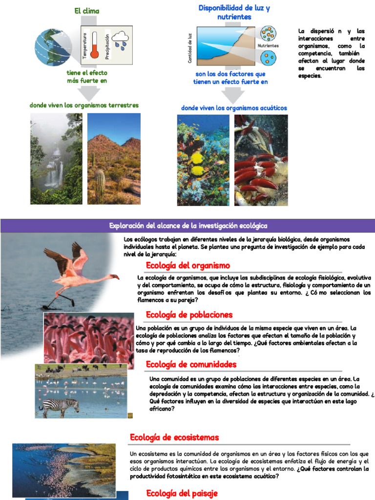 Clase de Biología | PDF | Ecología | Ecosistema