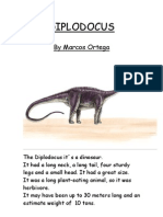 Marcos DIPLODOCUS