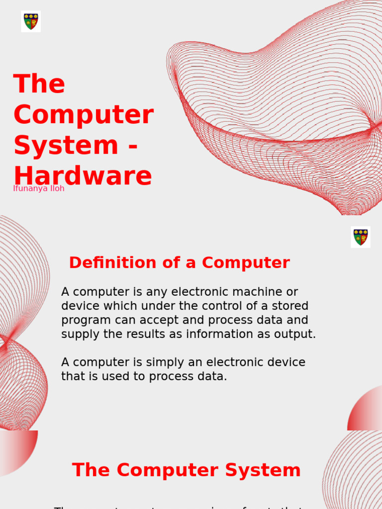 The Computer System- Hardware | PDF