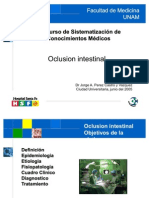 Oclusion Intestinal 2