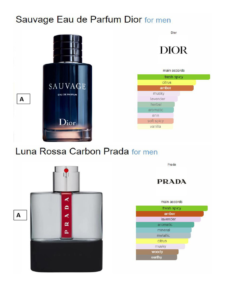 PERFUME | PDF