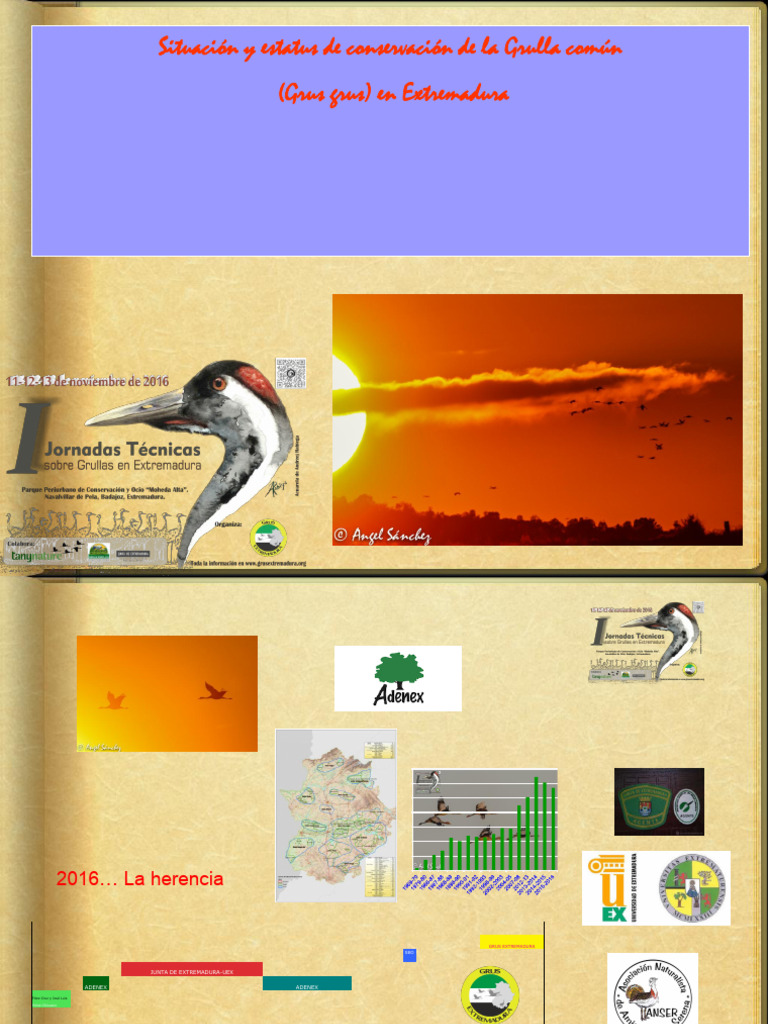 medidas-de-conservaci-n-de-la-grulla-com-n-en-extremadura-red-natura