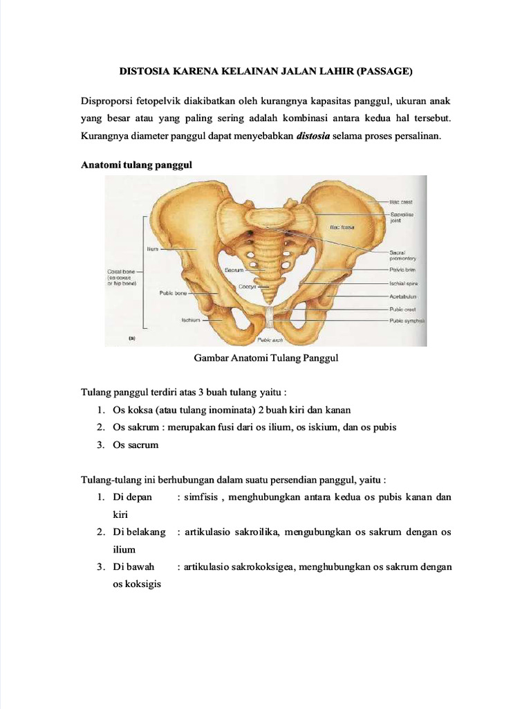 Distosia dan Anatomi Panggul dalam Persalinan | PDF