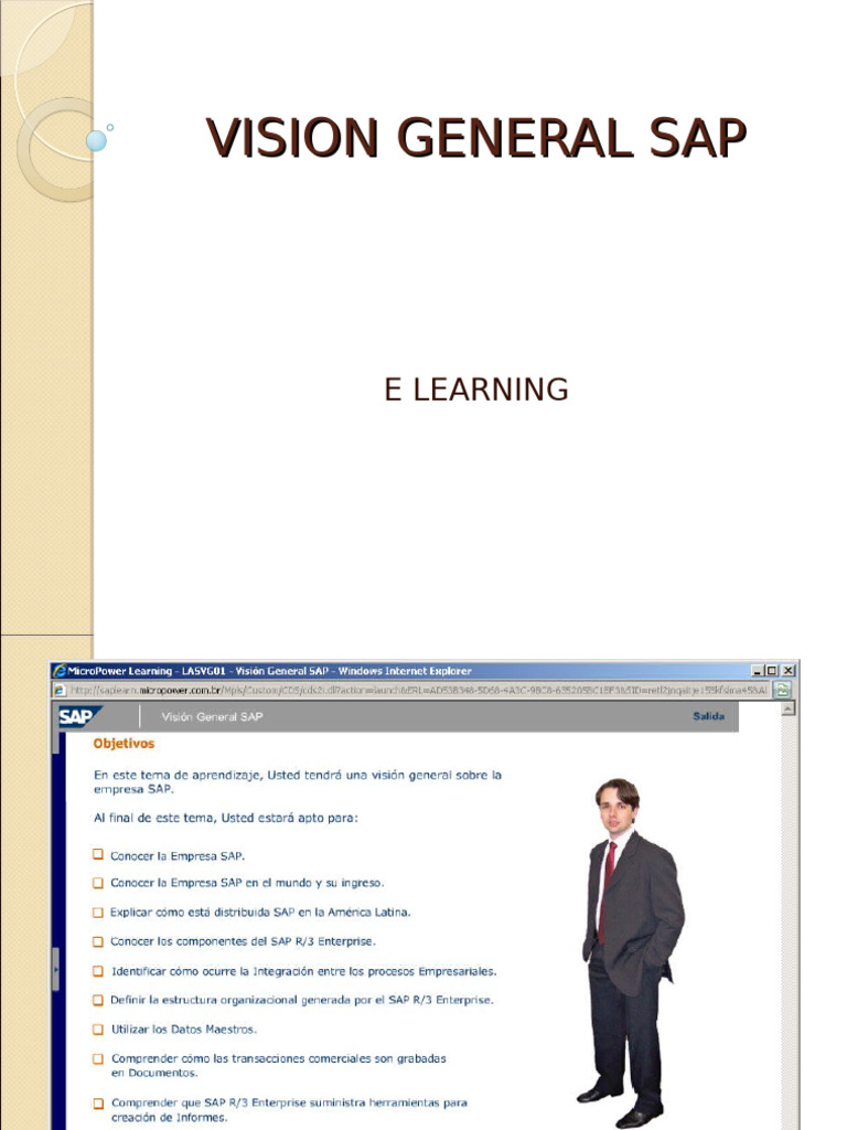 Vision General Sap e Learning | PDF