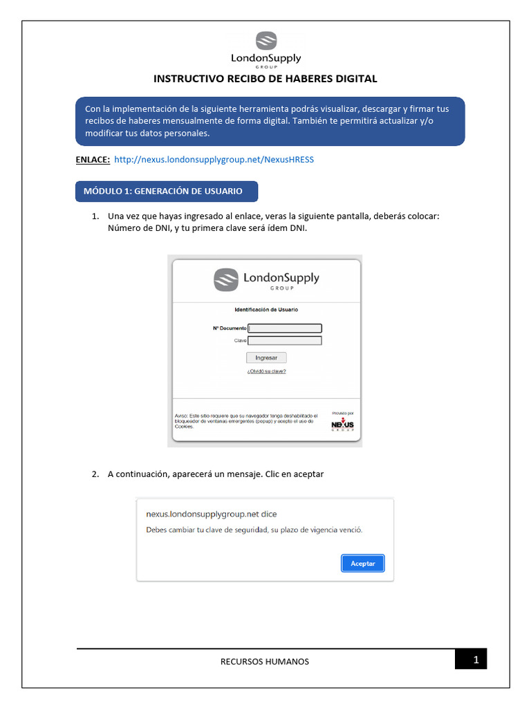 Instructivo para Recibos de Sueldo Digital | PDF | Informática