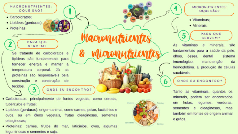 Mapa Mental: Macronutrientes e Micronutrientes | PDF