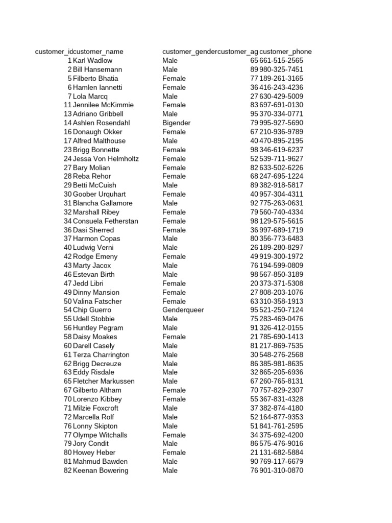 Customer Data List with Details | PDF