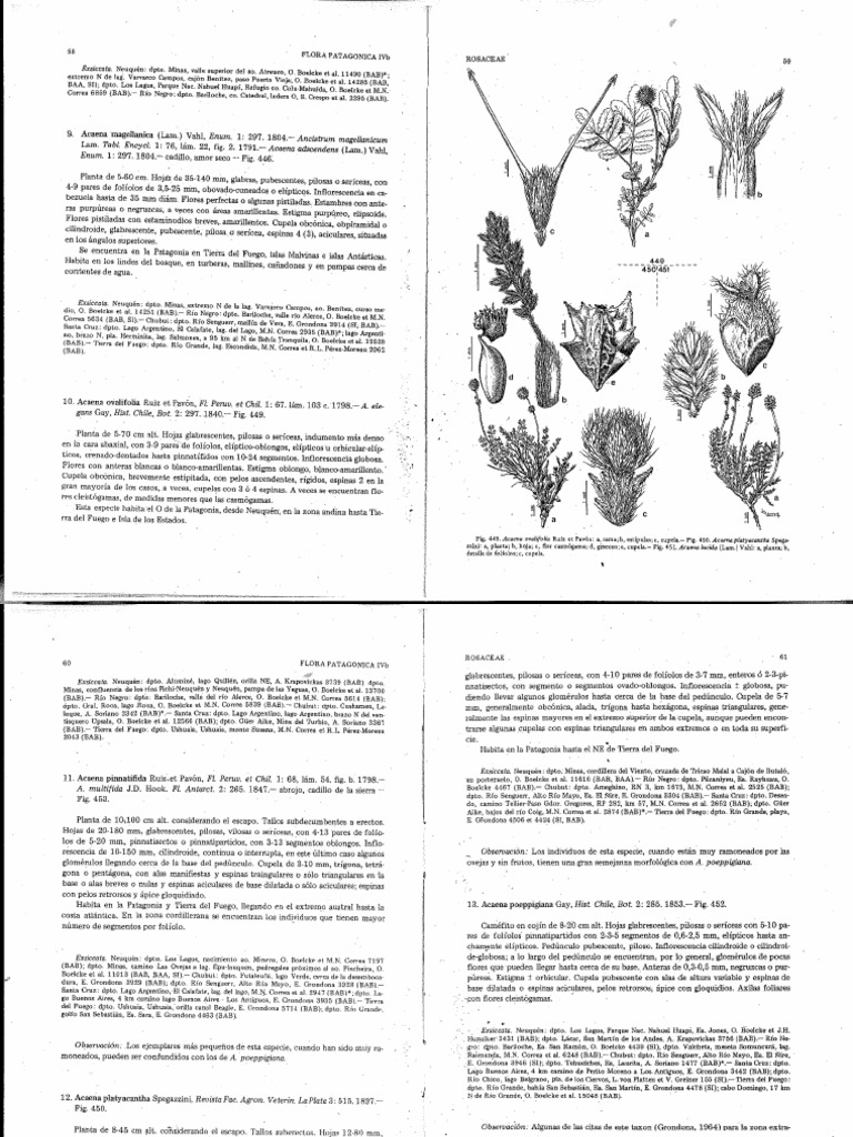 Rosaceae y Fabaceae Flora | PDF