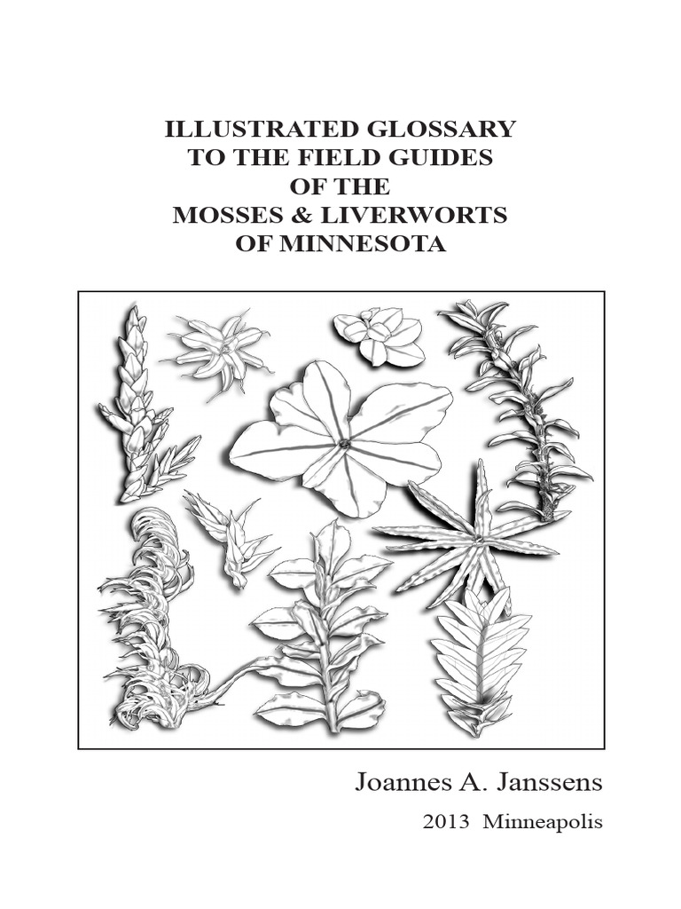 THE FIELD GUIDES of The Mosses | PDF | Leaf | Moss