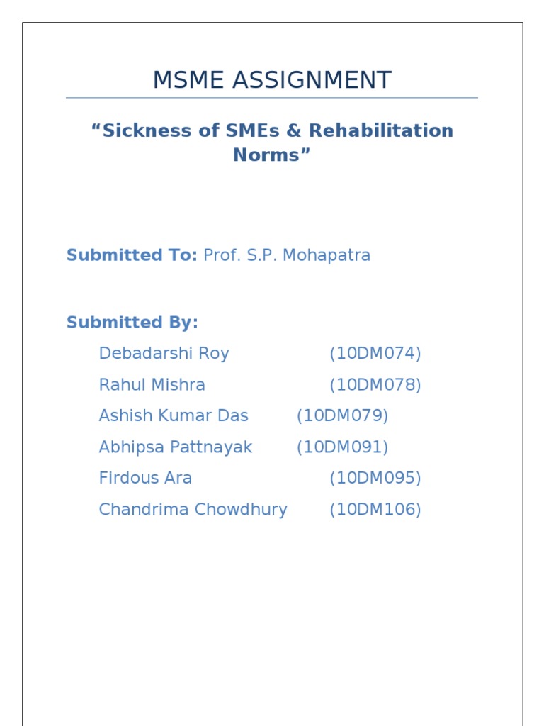 MSME Assignment Final Write Up | PDF | Banks | Pharmaceutical