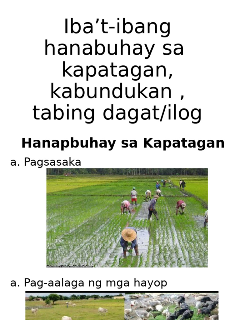 PDF 