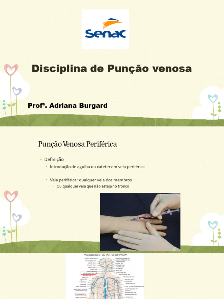 Guia Prático de Punção Venosa | PDF | Veia | Anestesia