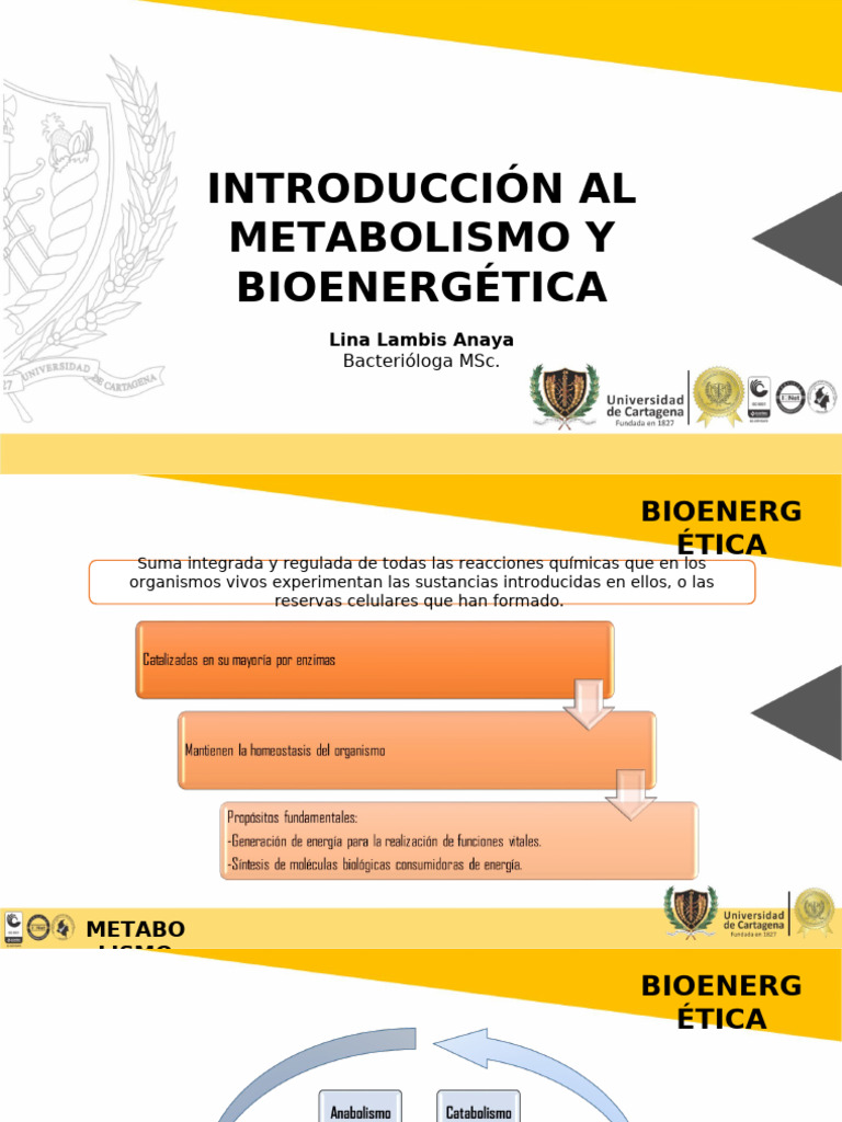 Bioenergética | PDF | Cadena de transporte de electrones | Trifosfato ...