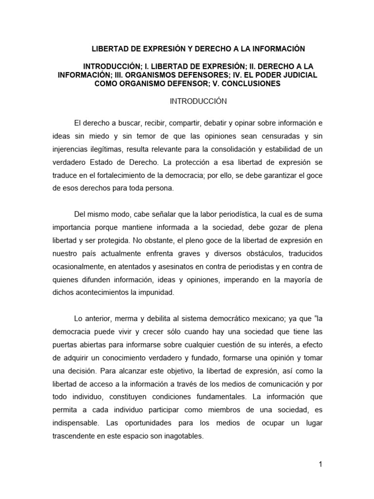 Libertad de Expresión y Derecho A La Información | PDF | Libertad de ...