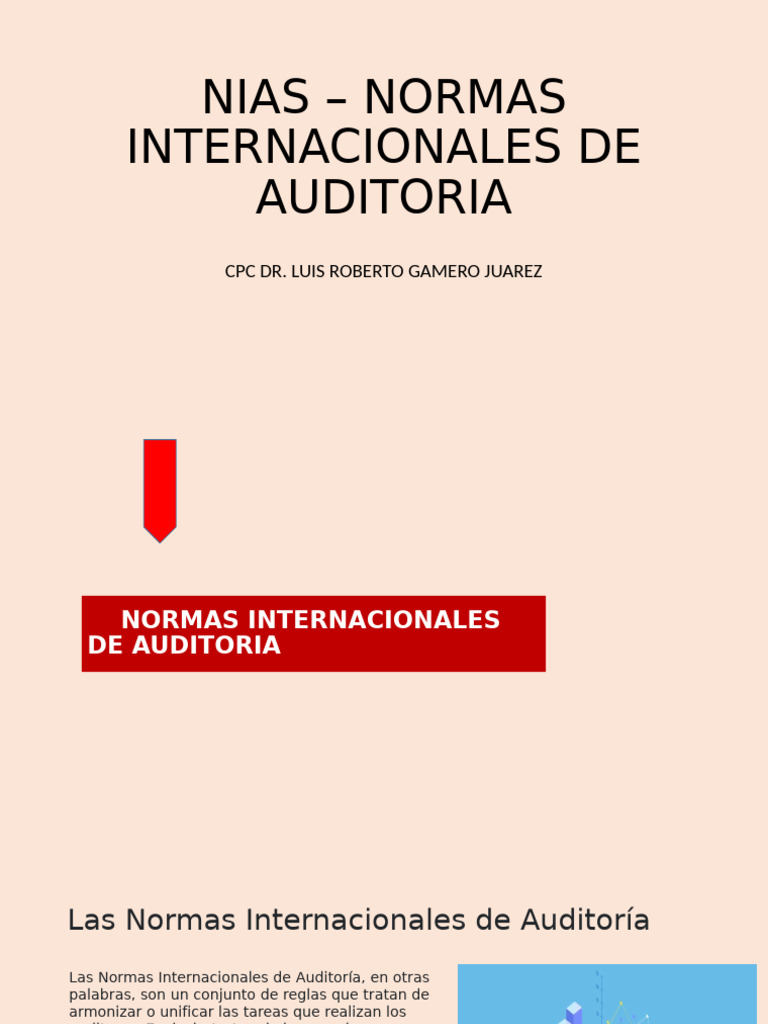 Normas Internacionales de Auditoría (NIAS) | PDF | Auditoría | Contralor