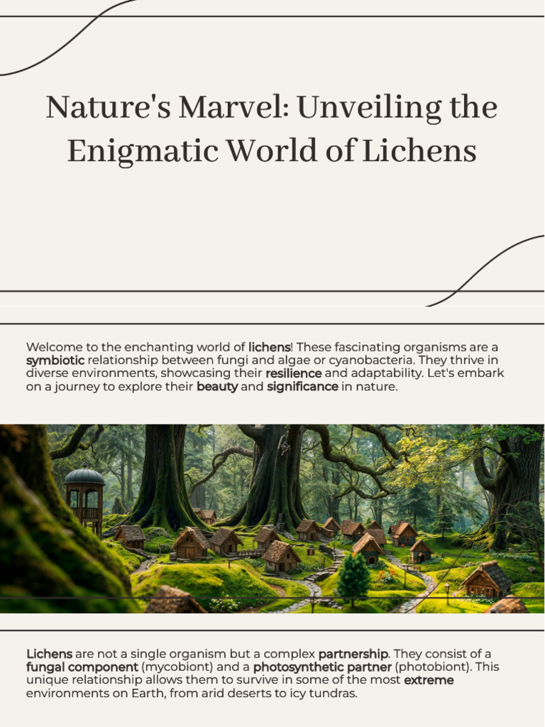 Slidesgo Natures Marvel Unveiling The Enigmatic World of Lichens