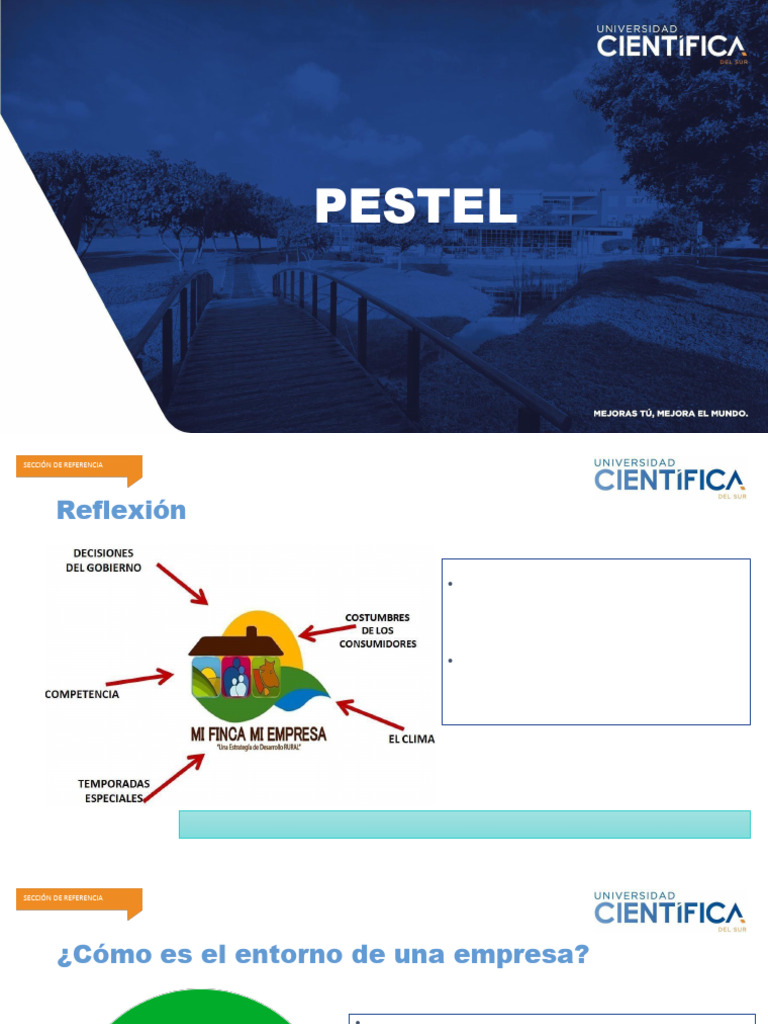 pestel-pdf-business-economias
