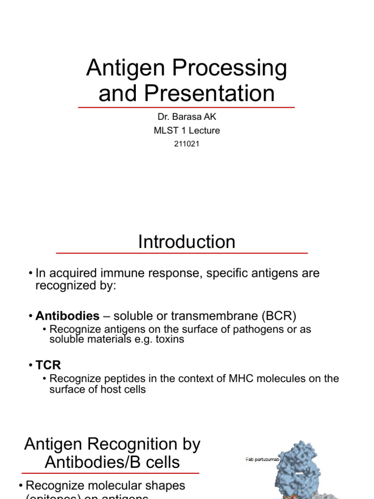 Antigen Processing and Presentation Explained | PDF | Antigen | T Cell