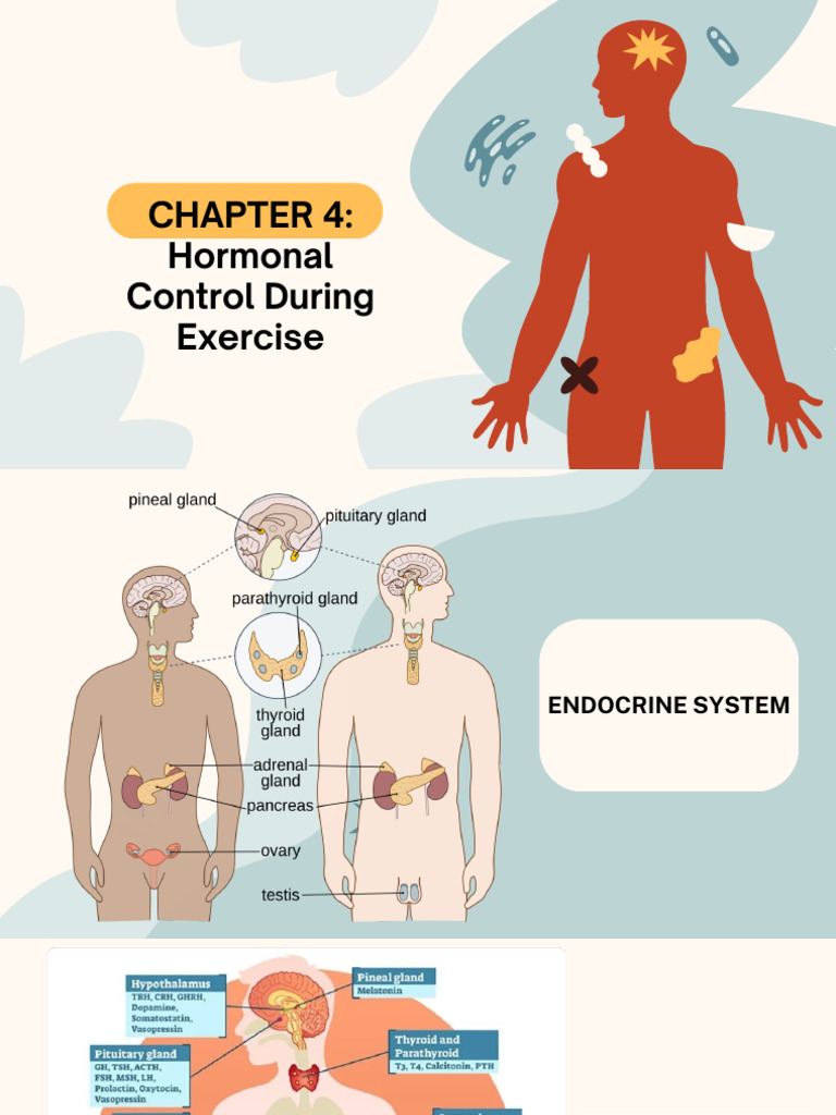CHAPTER 4 Hormonal Control During Exercise | PDF | Wellness | Science ...