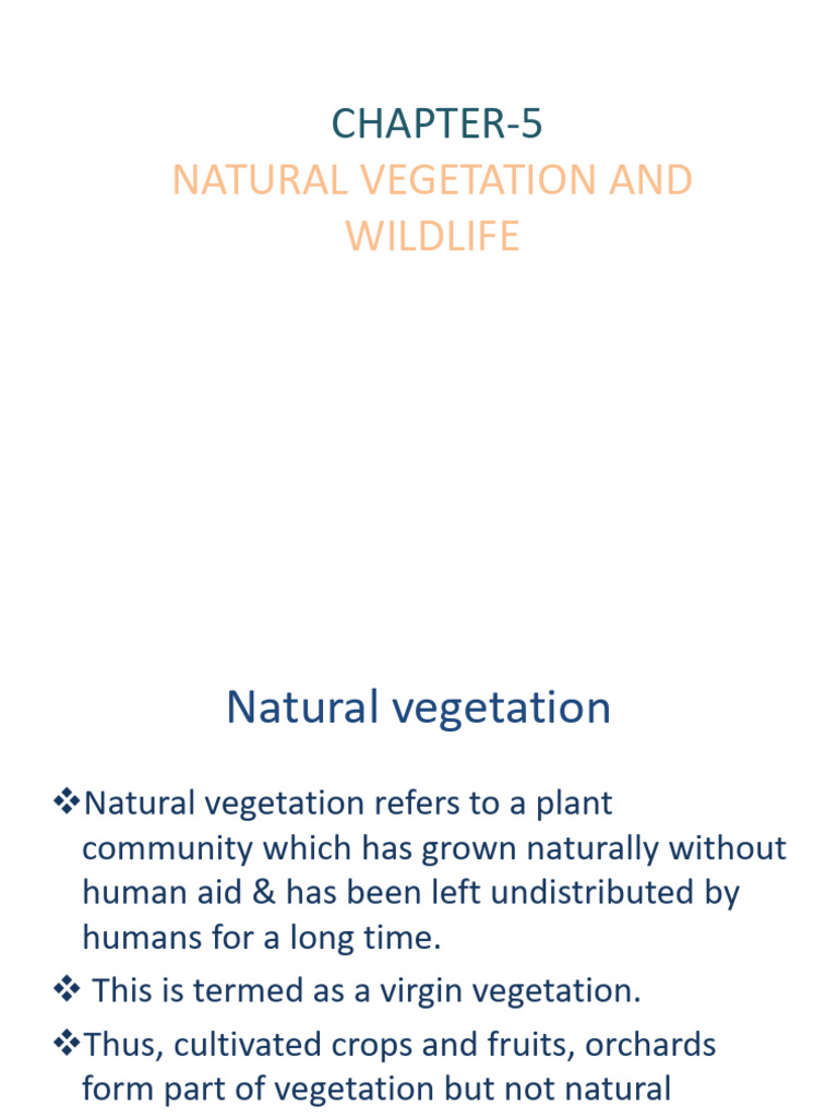 Natural Vegetation and Wildlife in India | PDF | Forests | Trees