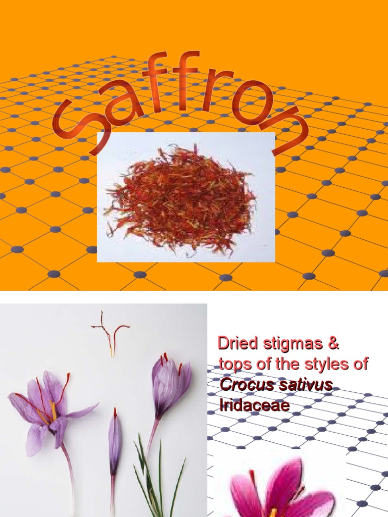 Saffron | PDF