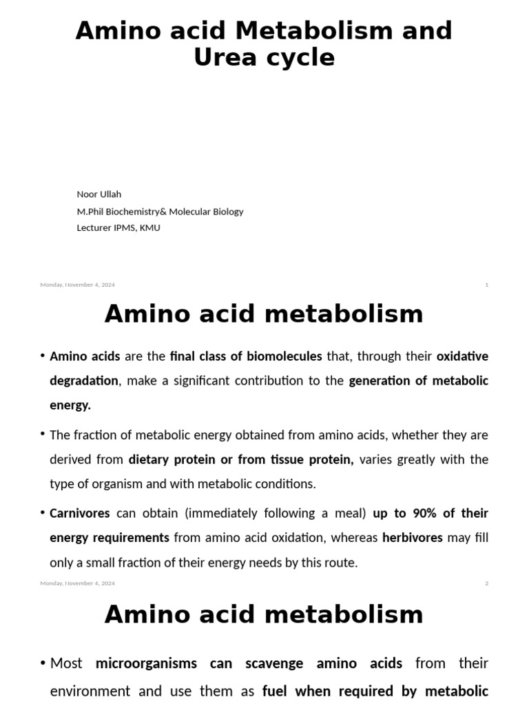 Amino Acids and the Urea Cycle | PDF | Metabolism | Transaminase