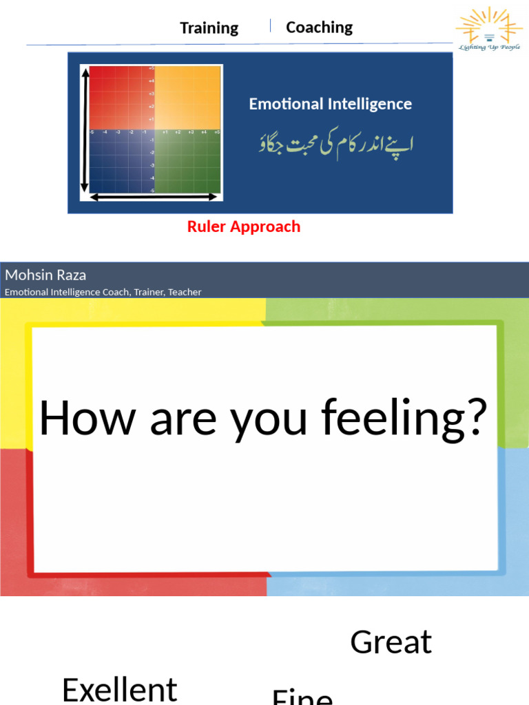 Emotional Intelligence Training Program | PDF | Emotions | Mental Health