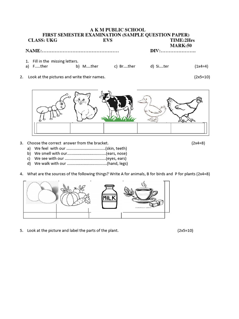 UKG EVS Sample Exam Question Paper | PDF | Teaching Methods & Materials