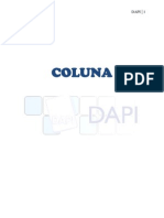 COLUNA