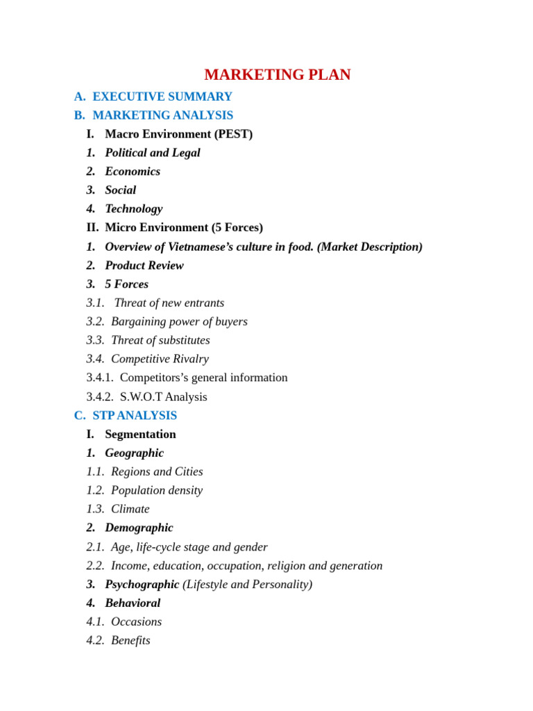 Comprehensive Marketing Plan Overview | PDF