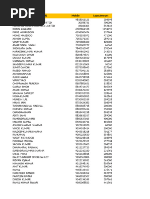 rumi！ Loan Customer Data Overview | PDF | Cinema Of India | Film