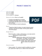 Proiectdidactic Fierul